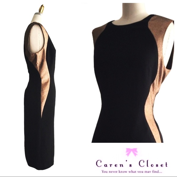 Anne Klein Dresses & Skirts - Ann Klein Bronze & Black Illusion Sheath Dress